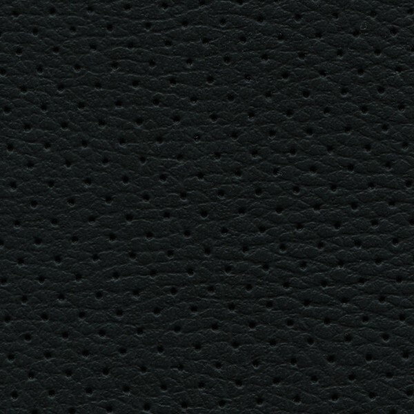 Lederlook Perforiert D15p Schwarz