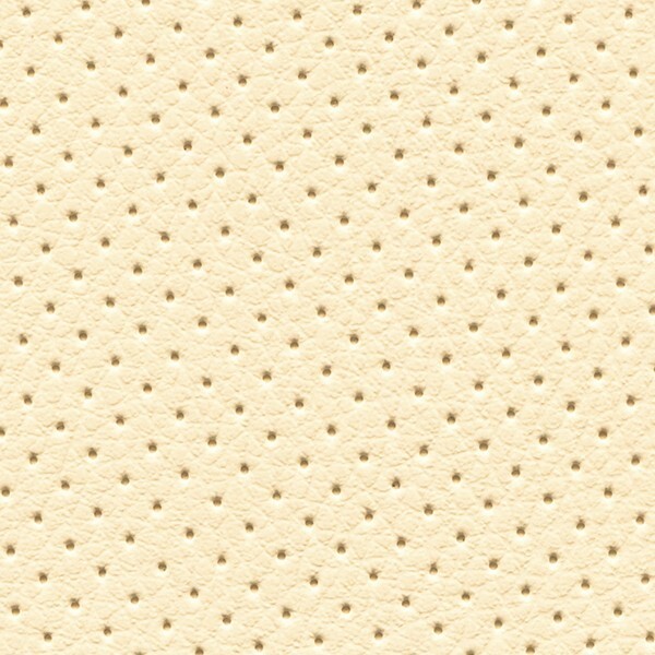 Lederlook Perforiert D04p Hellbeige