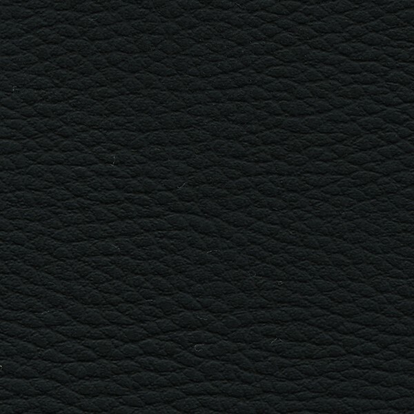 Lederlook D15 Schwarz