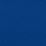 lederlook-d10-blau