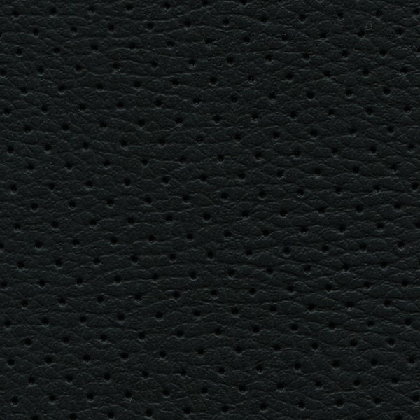 Lederlook Perforiert D15p Schwarz