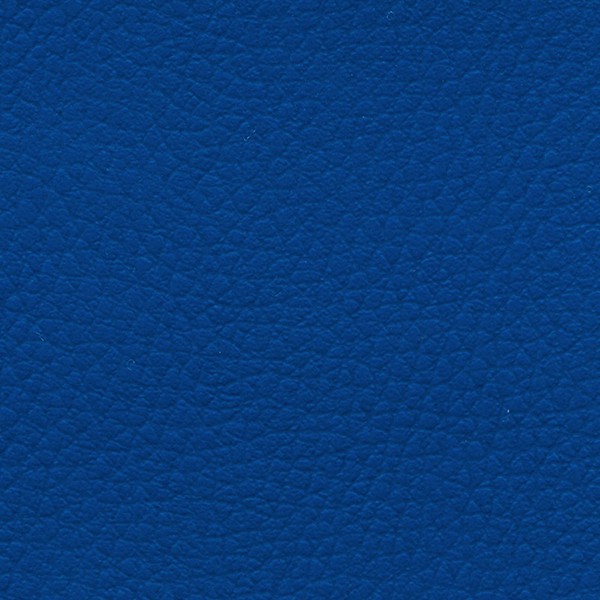 Lederlook D10 Blau
