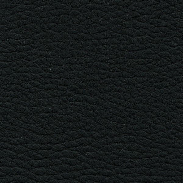 Lederlook D15 Schwarz