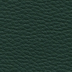lederlook-d18-dunkelgruen