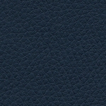 lederlook-d12-marine