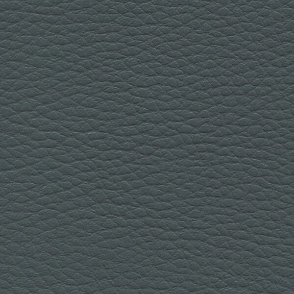 Lederlook D14 Dunkelgrau Designbezuege